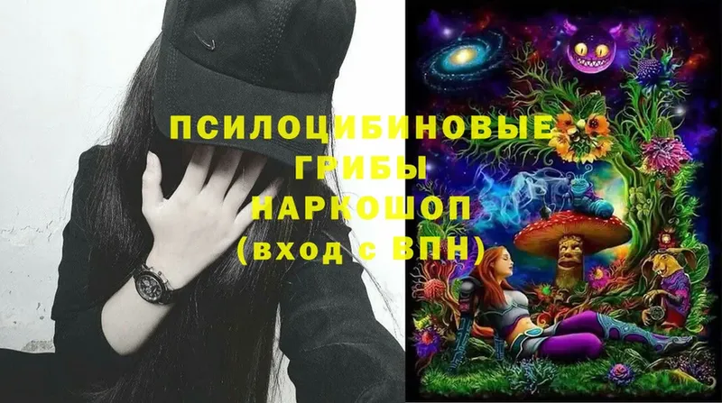 Псилоцибиновые грибы Cubensis  Красавино 